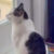 Profile picture of Gizmo&GG